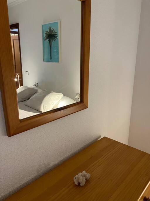 Cozy Apartamento Santa Cruz de Tenerife Exterior foto